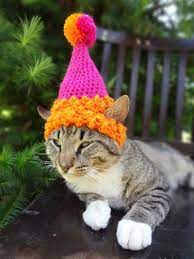 Pin By Carrie Carpenter On Cats Wearing Hats Hat For Cat Dog Birthday Dog Birthday Party