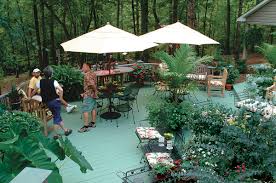 When making a garden, almost everyone always use ornamental plants to beautify the grounds. Piahyclsrvocm
