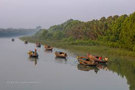 Beauty of Sundarban Park