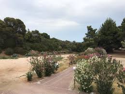 See more ideas about plants, flowers, trees to plant. Landscape Picture Of Poseidon Resort Hotel Neos Marmaras Tripadvisor