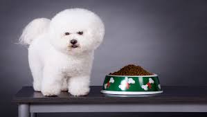 Hill's pet nutrition is voluntarily recalling select canned dog food products due to potentially elevated levels of vitamin d. Hill S Expanded Dog Food Recall Impacts Pet Families Worldwide Food Safety News