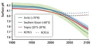 Three Tools To Solve The Mystery Of Ocean Acidity Climate
