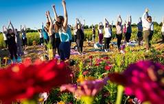 2026 Sunset Yoga In The Flowers Series