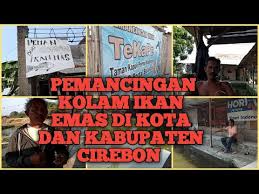 Pemancingan Kolam Ikan Emas Di Kota Dan Kabupaten Cirebon Youtube