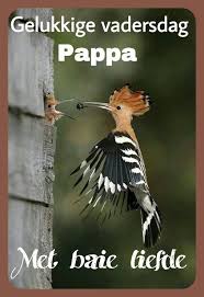 Gelukkige Vadersdag Happy Birthday Pictures Afrikaans Afrikaanse Quotes