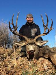 Colorado 3rd Season Mule Deer Colorado United States Bookyourhunt Com