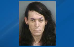 Police say they found alligator, guns, and drugs in a car at a traffic stop