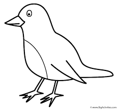 Bird coloring page bird coloring pages for preschoolers at getcolorings free. Robin Coloring Page Birds
