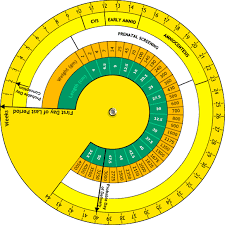 Pregnancy Wheel Calculating Due Date With Pregnancy Wheel