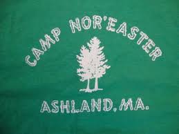 Vintage 80 S Camp Nor Easter Ashland Ma Souvenir Green T Shirt Size L Green Tshirt Shirt Size Vintage