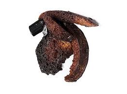 Bildergebnis für Kristiina Laurits