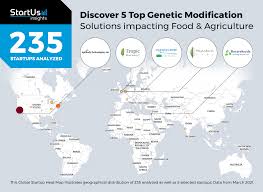 Human genetic modification is the direct manipulation of the genome using molecular engineering techniques. 5 Top Genetic Modification Solutions Impacting Food Agriculture