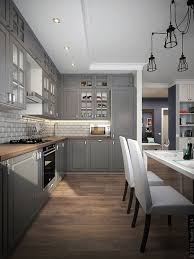Small kitchen trends 2021 for sink and dish dryer. 25 Grey Kitchen Ideas Modern Accent Grey Kitchen Design Grey Kitchen Designs Kitchen Cabinet Design Grey Kitchens