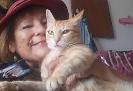 The Adventures of Bobo the Cat Part 2: Bobo in the Lady of the Green