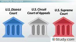 U.s. Federal Court Structure & Hierarchy | Three Levels Of Federal Courts -  Video & Lesson Transcript | Study.com