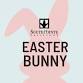 Easter Bunny at SouthPointe Pavilions