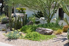 Creating A Lush Desert Oasis In The Urban Landscape Desert Landscape Design Desert Landscaping Landscape Design
