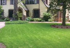 Included in all westfall's lawn spraying services are the appropriate pesticides for killing webworms the mole cricket has proliferated due to having few natural predators as well as having millions of. Good Nature Home