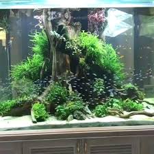 Uxcell Aquarium Fish Tank Green Plastic Artificial Tree Design Ornament 23x6x29cm Freshwater Aquarium Aquarium Design Aquarium Fish