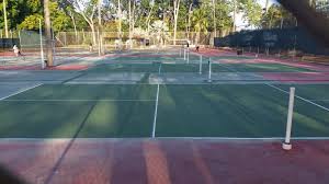 Pickleball courts are usually constructed with standard dimensions according to usa pickleball guidelines. Pickleball Comes To Panama Coronado Concierge