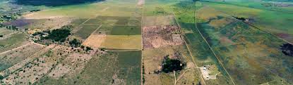 Publications – Remote Sensing and Sustainability Lab
