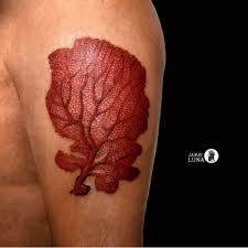 See more ideas about coral tattoo, coral, coral reef. Coral In Tattoos Search In 1 3m Tattoos Now Tattoodo