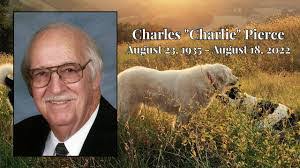 Amber Cessac's Instagram, Twitter & Facebook