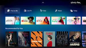 Xfinity Flex Review 2020