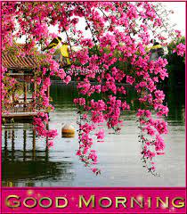 Talk about the posted art and only the posted art. Flower Garden Background Gif