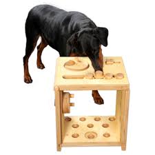 pin von nasenkiste das intelligenzs auf die nasenkiste in aktion hund beschaftigen intelligenzspielzeug hund hundepension