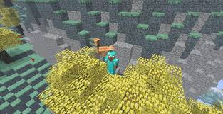 You had to walk, jump and duck mario through a selection of levels to reach bowser, defeat him and rescue princess peach. Aether 2 For Minecraft 1 17 1 1 16 5 1 15 2 1 14 4 1 13 2