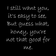 Bittersweet Panic At The Disco Lyrics Pin By Megan Sheahan On Entertainment Lyric Quotes Lyrics Words
