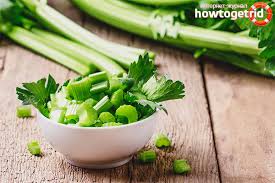 Seikat daun sup atau daun sadri; Saderi Dalam Diabetes Faedah Dan Bahaya