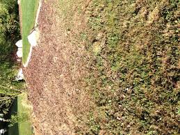 Check spelling or type a new query. Wiese Umgraben Mit Motorhacke Garten Landwirtschaft Rasen