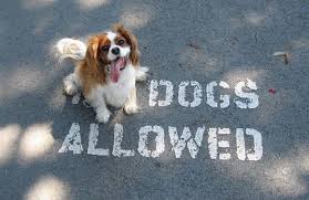 Reserve now at top houston restaurants, read reviews, explore menus & photos. Denver Ranked Most Dog Friendly City In America The Denver Ear