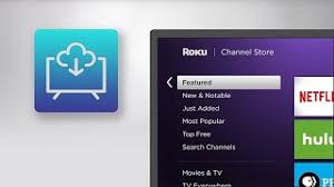 Any value after quoted field isn't allowed in line 356. How To Add Channels On Your Roku Devices Youtube