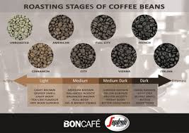 roasting stage of coffee bean