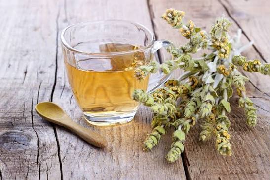 Mountain Tea