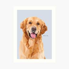 Before you buy an english cream golden retriever puppy, get familiar with the coat and care of the breed. Geometric Golden Retriever Wall Art Redbubble
