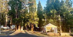 2026 ARRL Ham Radio Field Day in Strawberry!