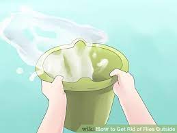 How To Get Rid Of Flies Outside Get Rid Of Flies Flies Outside Fly Repellant