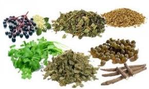 Tisanes Depuratives Pour L Intestin En 2020 Tisane Herbes Aromatiques Desintoxication Naturelle