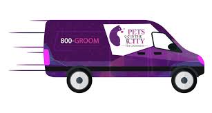 With conga's mobile pet grooming you do not need to take your faithful friend to a spa. Mobile Pet Grooming Dubai Pets In The City