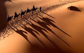 There is a brown camel that has slightly better stats than the tan one, if i recall it costs like 25 imperial horse trading coins. Experience Camel Rides Delicious Food And The Desert At Sunset In The Moroccan Sahara