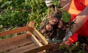 Маркировка гребней