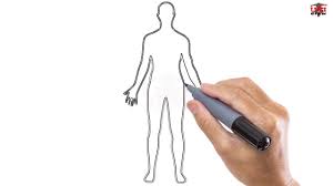 Anatomy notes the position and structure of organs such as muscles, glands and bones. How To Draw A Male Body Easy Step By Step Drawing Tutorials For Kids Ucidraw Youtube