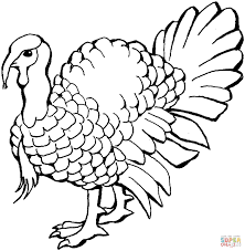 Just click on the image you would like to color. Turkey Coloring Pages For Toddlers Pictures To Print Images Thanksgiving Sheet Cute Clip Art Colorful Golfrealestateonline