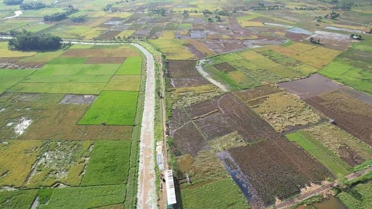 RUU Reforma Agraria Didorong Atasi Ketimpangan Penguasaan Lahan