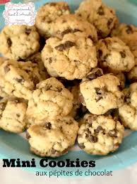1 Oeuf 100 G De Sucre Roux 60 G De Beurre Mou 180 G De Farine 100 G De Pepites De Chocolat Newtree 1 Sachet De En 2020 Cookies Pepite Chocolat Pepite Chocolat Dessert