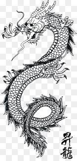 Japanese Dragon Png Traditional Japanese Dragon Dragon Face Japanese Dragon Tattoos